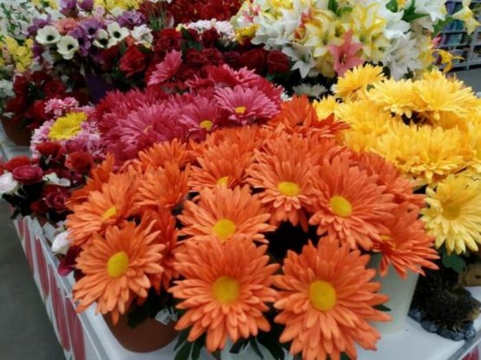 Источник фото: © «Панорама»