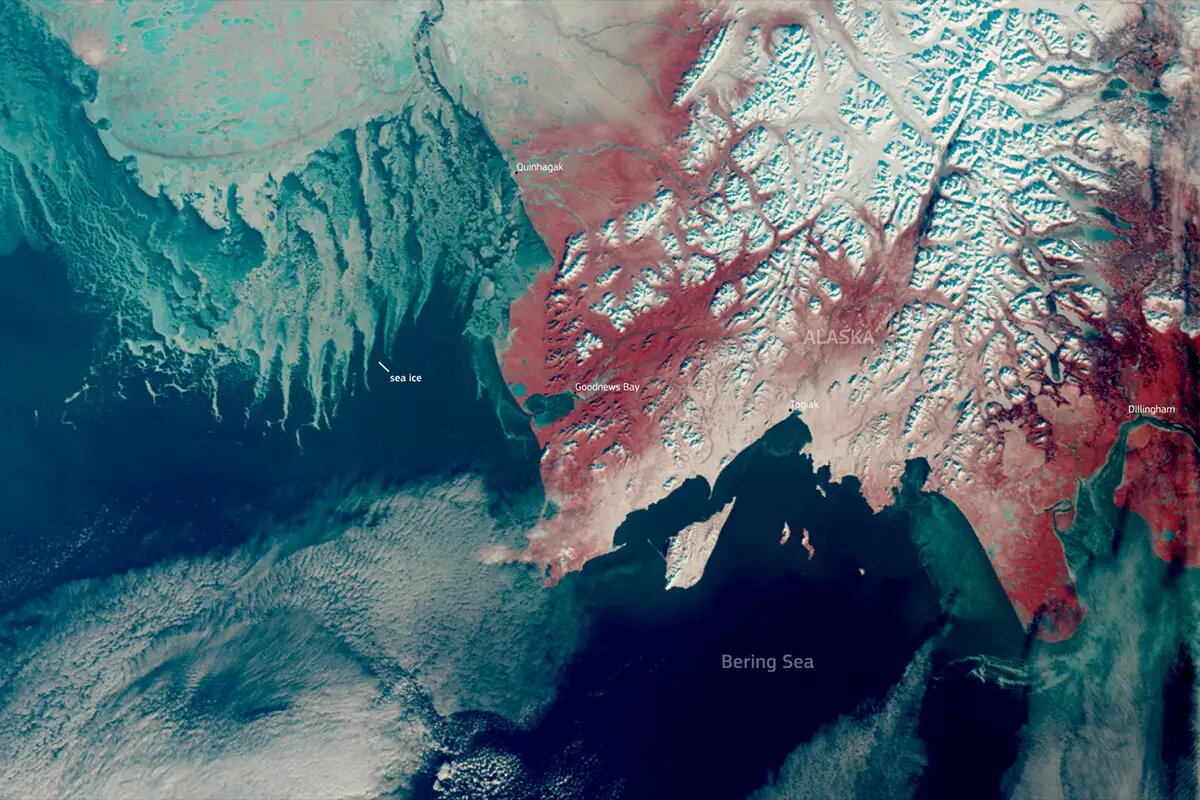    Рекордно низкий уровень мирового морского льда. © wikipedia.org