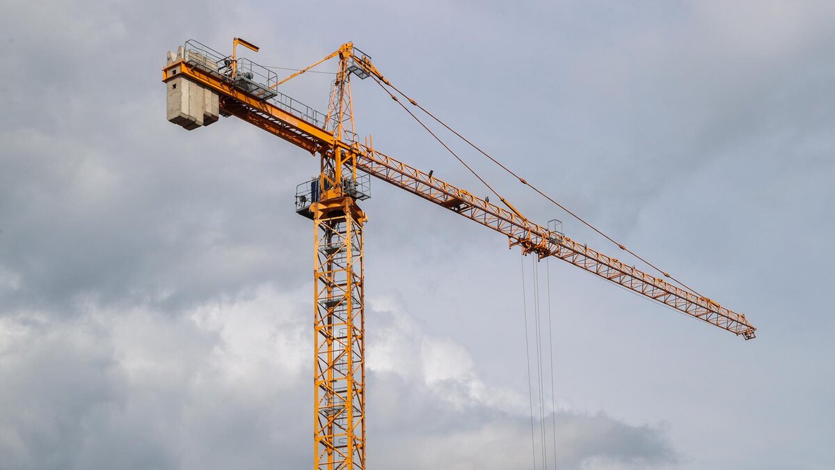    Фото: Belkin Alexey/globallookpress.com