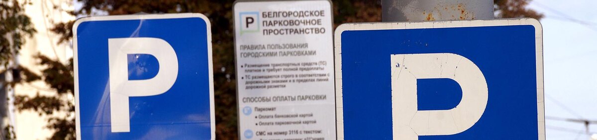    Фото: Сергей Егоров