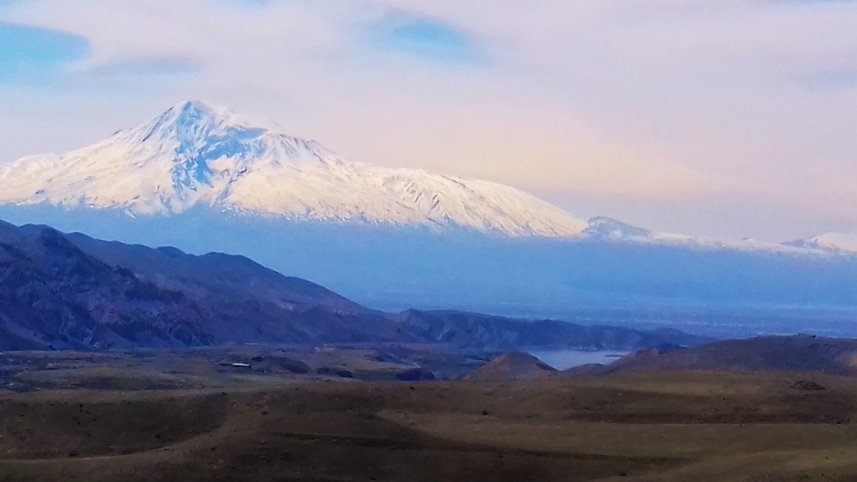 Арарат