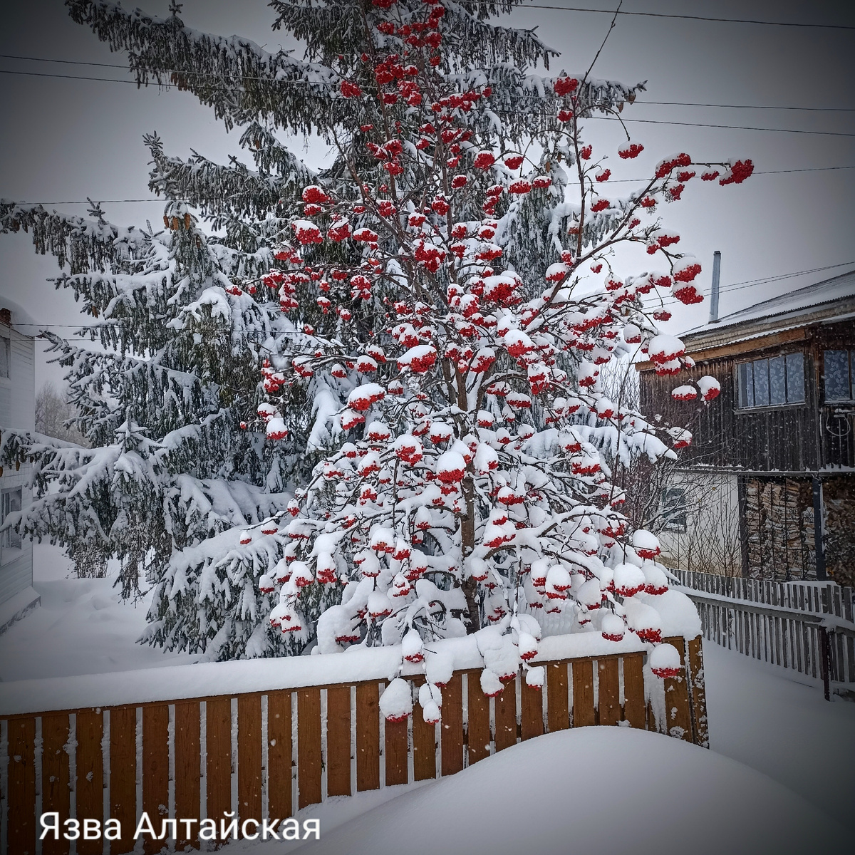 Тоже противоположности. 