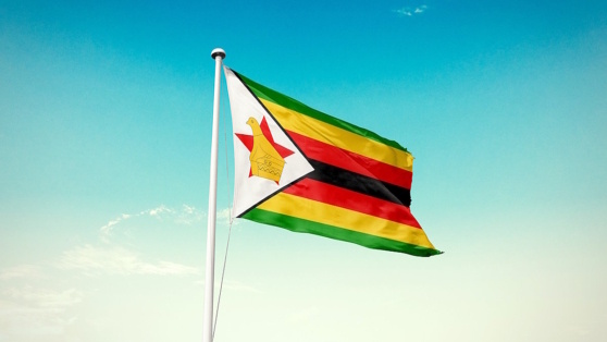    Зимбабве подала в БРИКС заявку на вступление Богдан Герцен