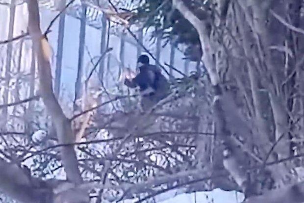     / Источник: © Telegram/Пограничный комитет Белоруссии