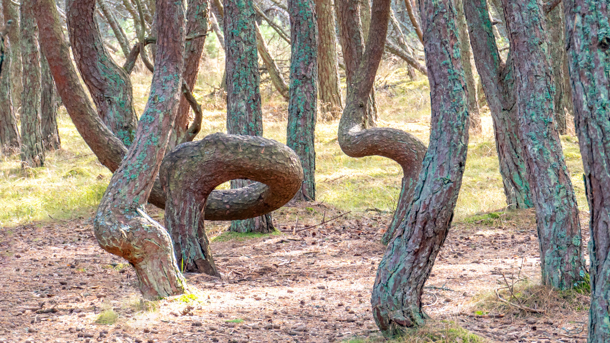 Царство тишины и мистики