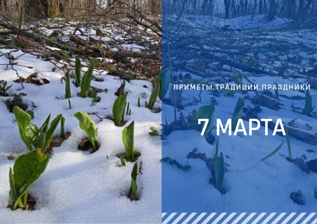 ГТРК "Ставрополье"