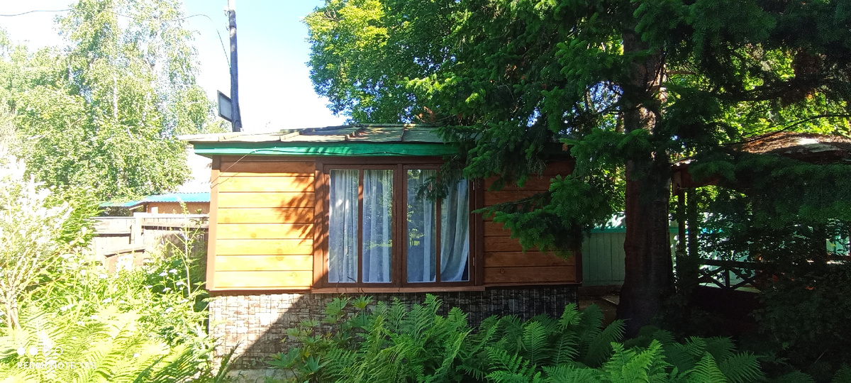 Домик в Пушистых елях. 