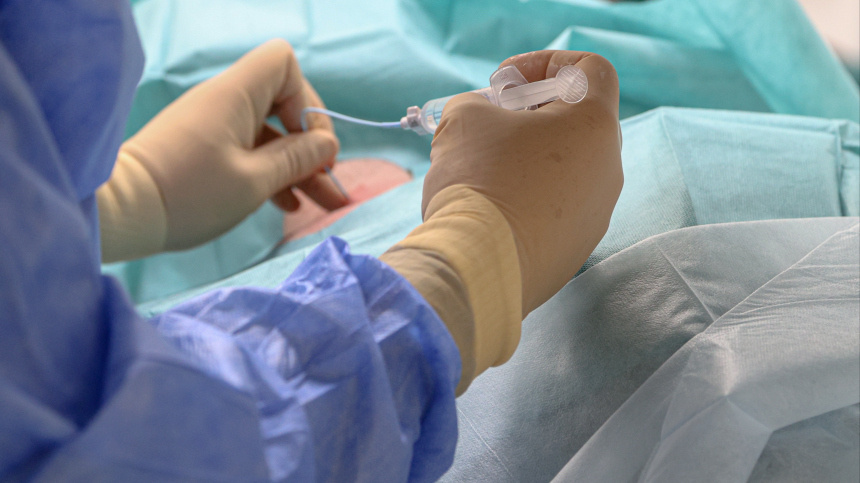    Фото: www.globallookpress.com/Bulkin Sergey