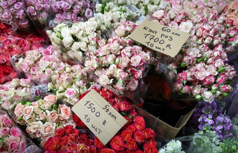    Алексей Белкин/NEWS.ru