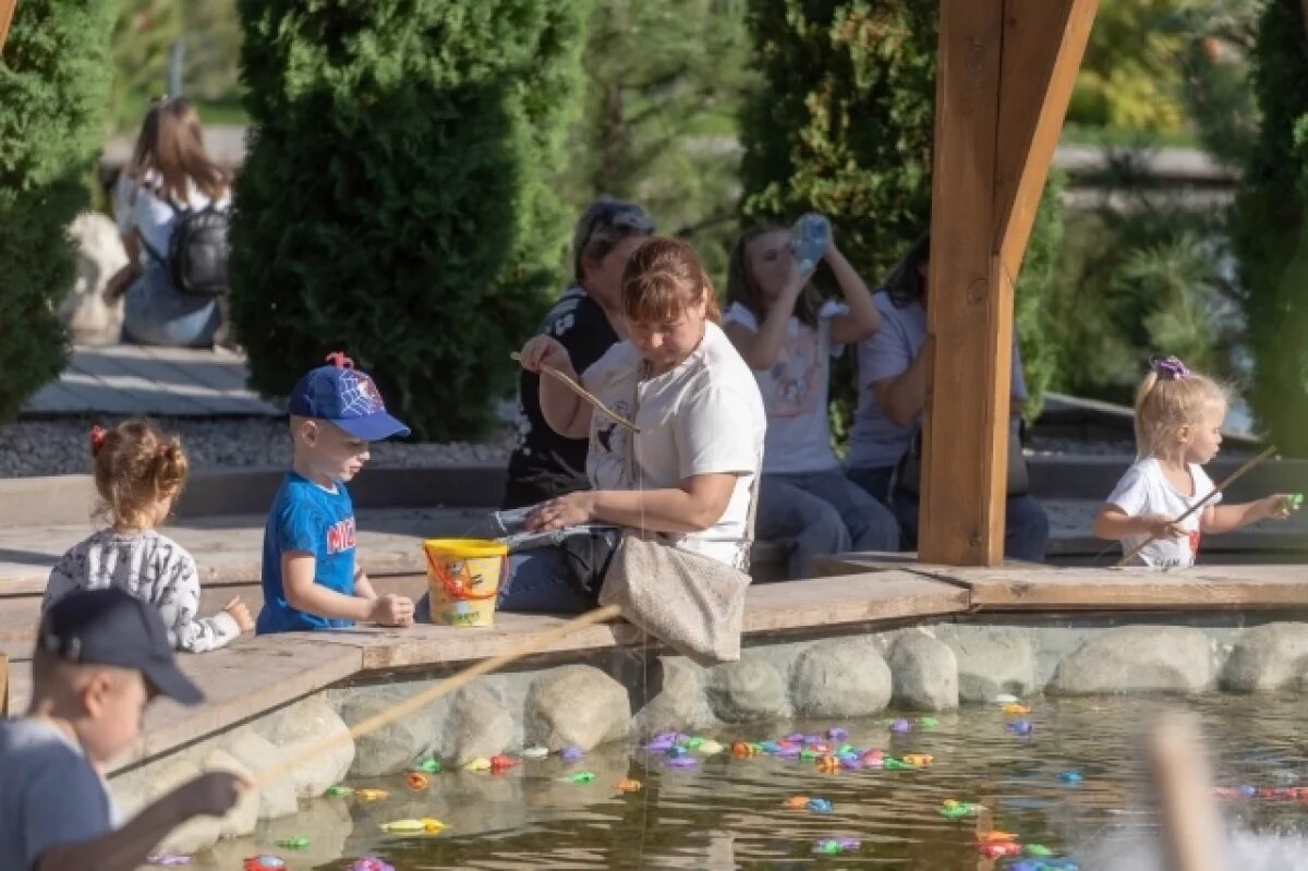    Новая детская площадка и фуд-корт: в Рязанском ЦПКиО стартует реконструкция