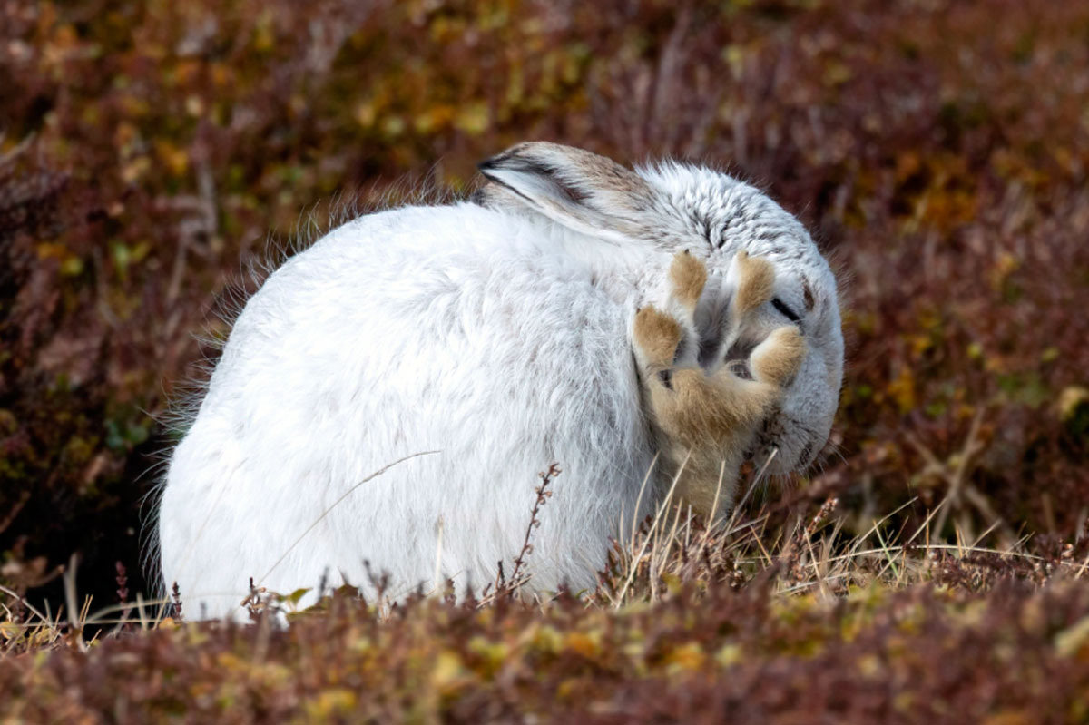 Жертва просто хочет вновь ощутить себя в безопасности