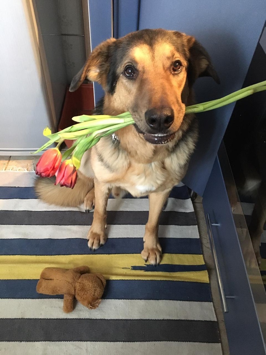 И вот такие мужчины тоже поздравляют наших читательниц!