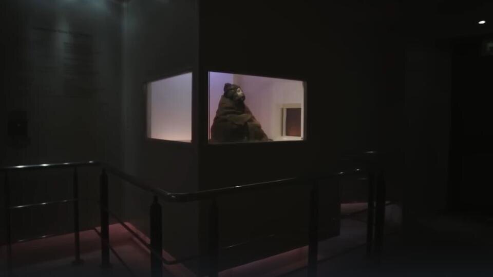 Фото: © Кадр из программы "Загадки человечества", РЕН ТВ