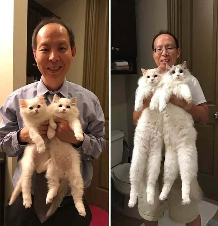 Фото из открытых источников интернета.