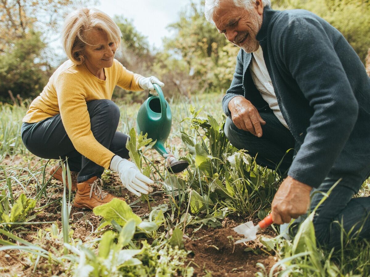    Пожилая пара ухаживает за своим садом© Getty Images / AleksandarNakic