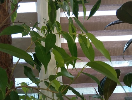 Фотография из личного архива автора