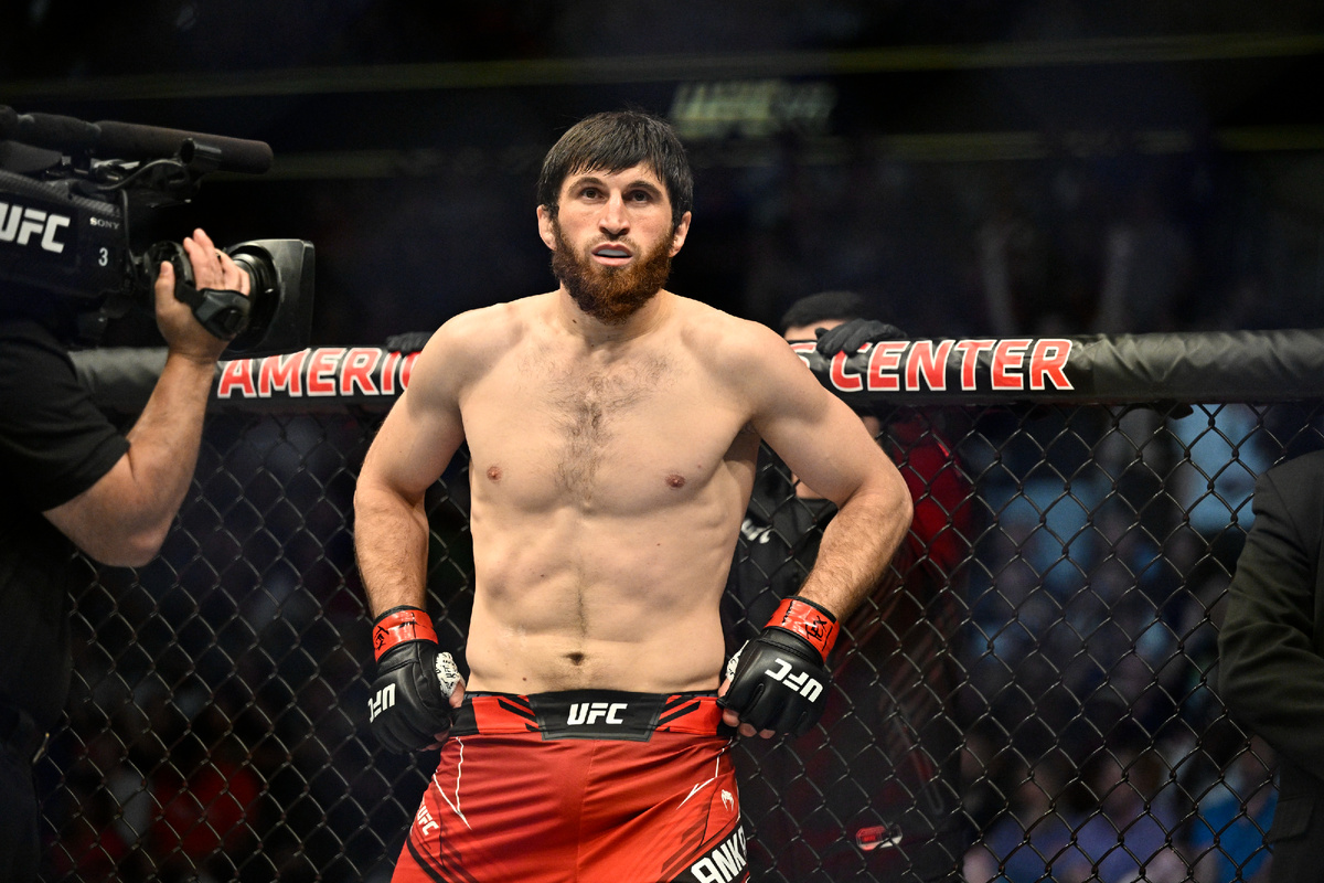 Ну где этот ваш лучник Перейра? Давайте его сюда!