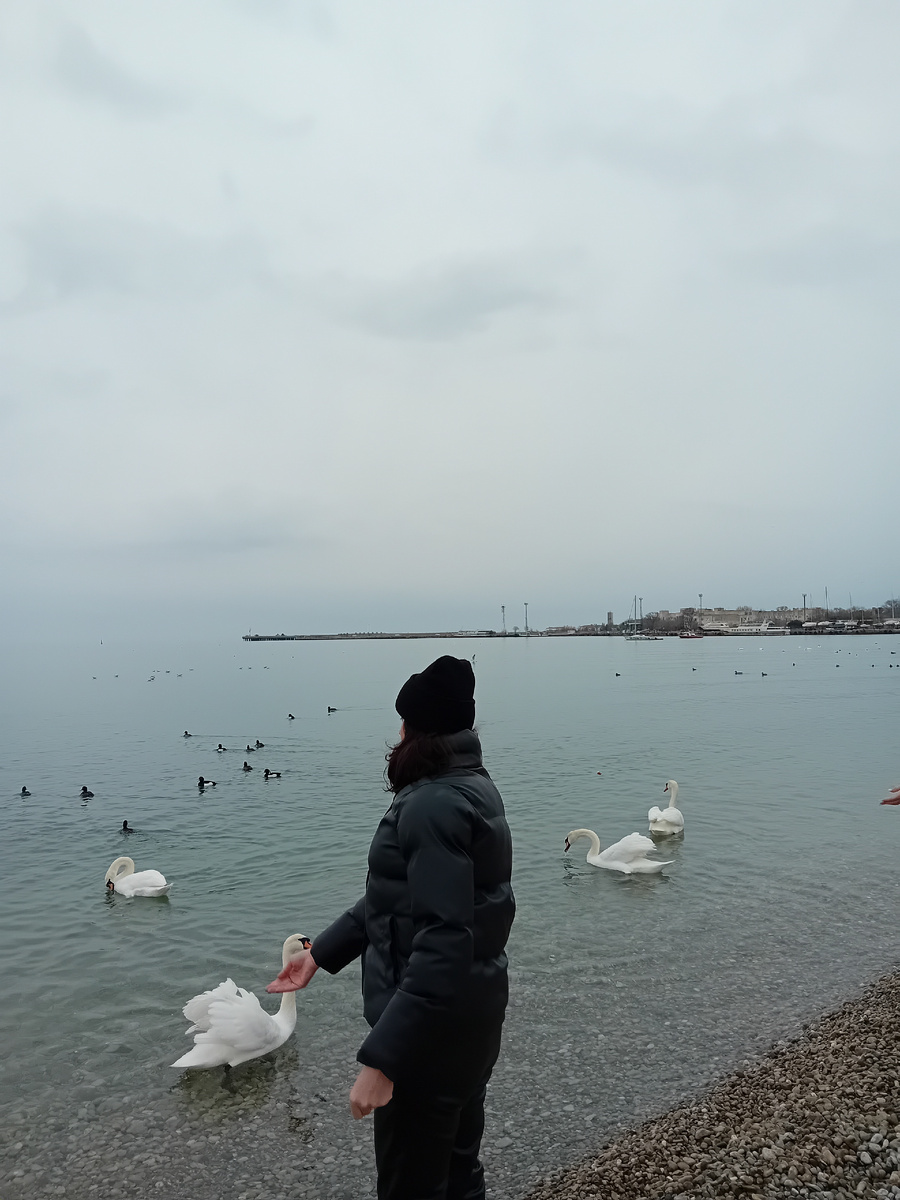 Авторское фото.