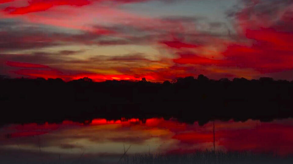 Фото: © Кадр из программы "Невероятно интересные истории", РЕН ТВ