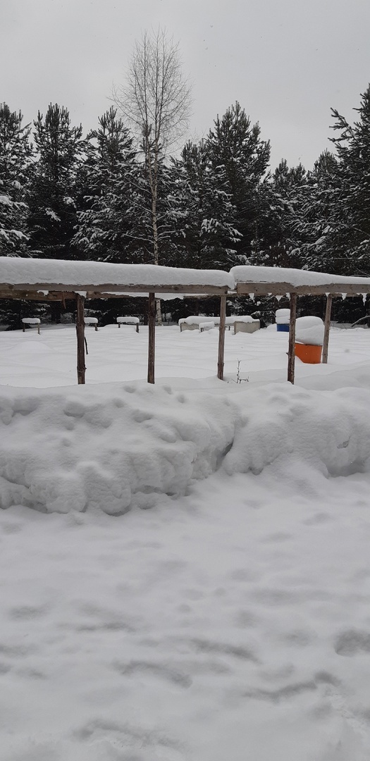 5 марта. Ну что тут можно сделать? !