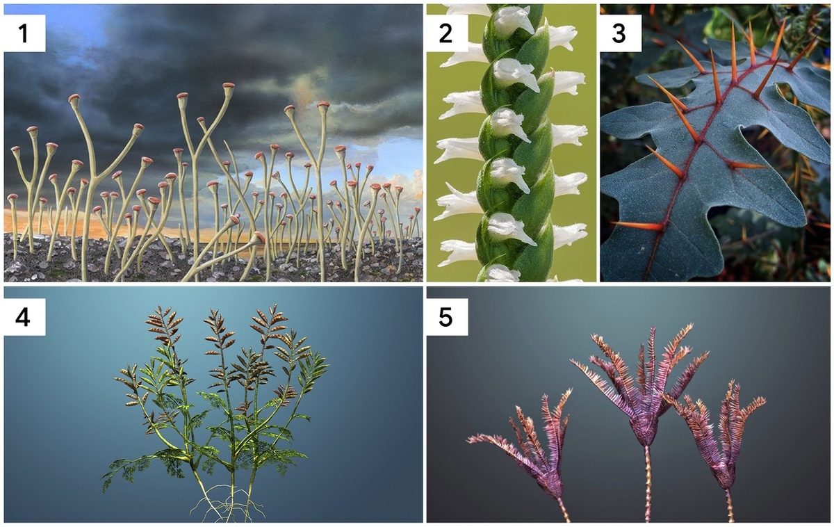 Фото: vk.cc/cJoySw, vk.cc/cJoz1L, vk.cc/cJoz9n, vk.cc/cJoz5S, vk.cc/cJoyWH