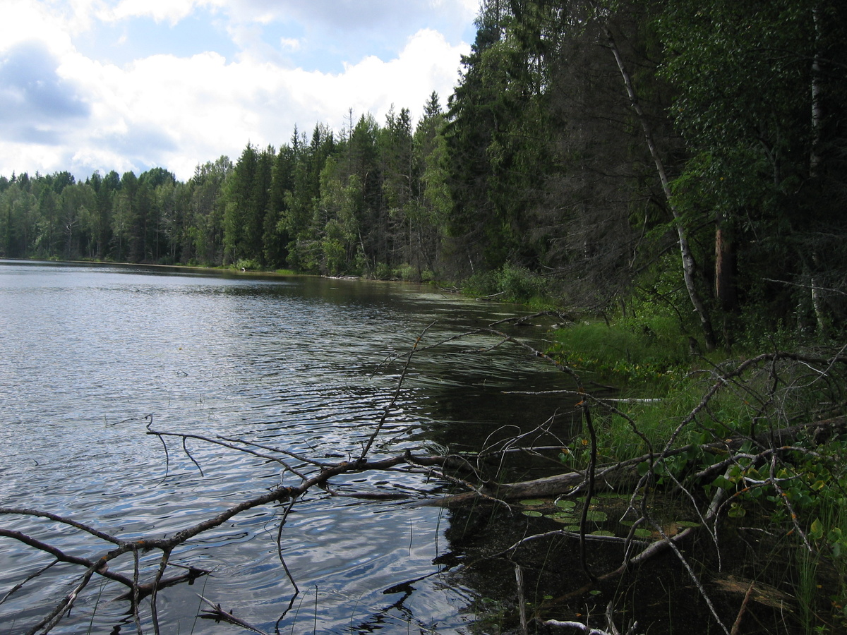 Под этим берегом глубоко