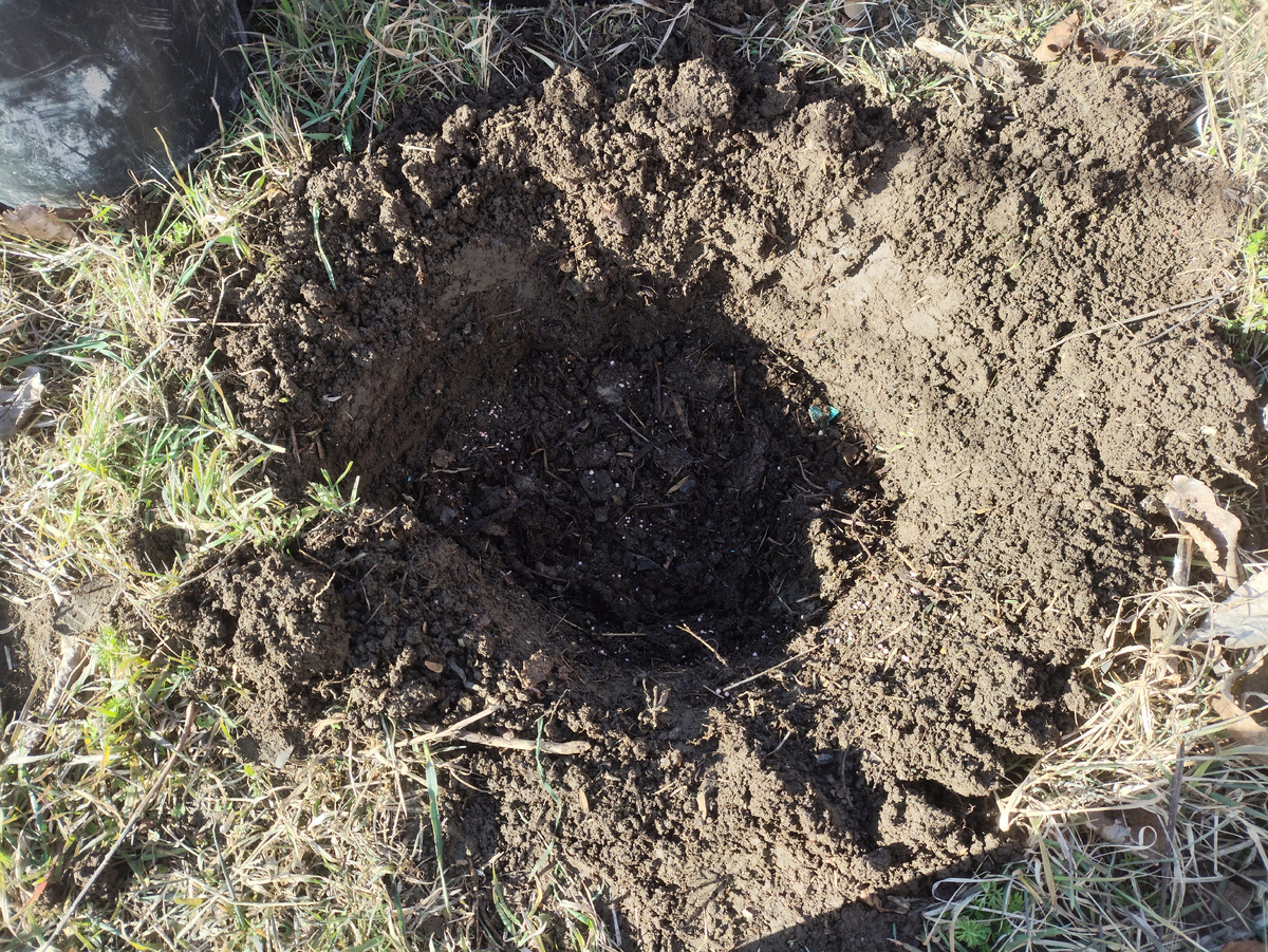 Уже все в яме, и перегной, и удобрения