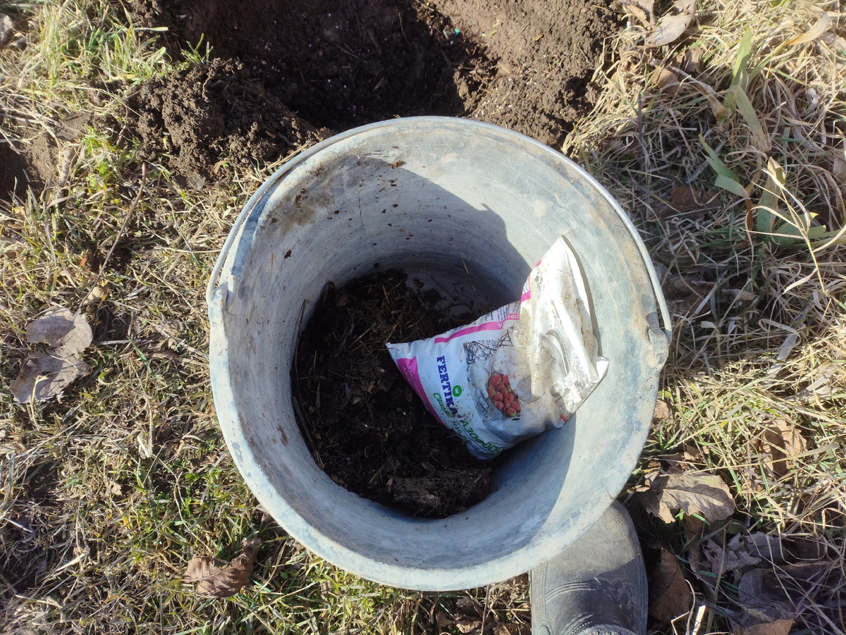 Остальное пойдет сверху.