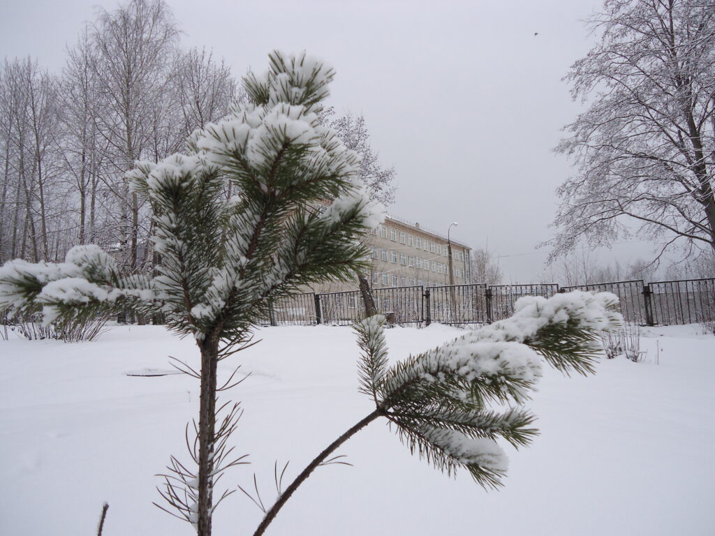    Фото: «В курсе.ру» Ольга Гилёва
