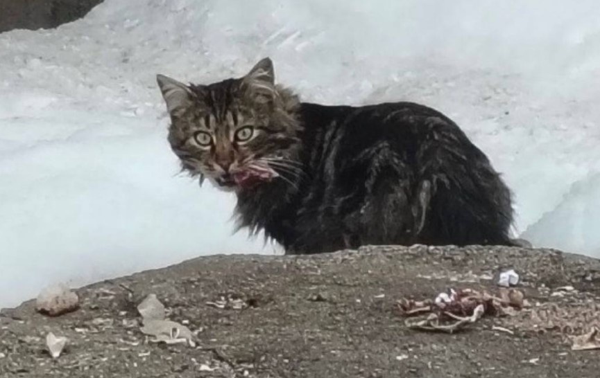 Фото: МЧС Башкирии