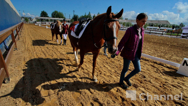 Фото: Анастасия Илюшина\47channel