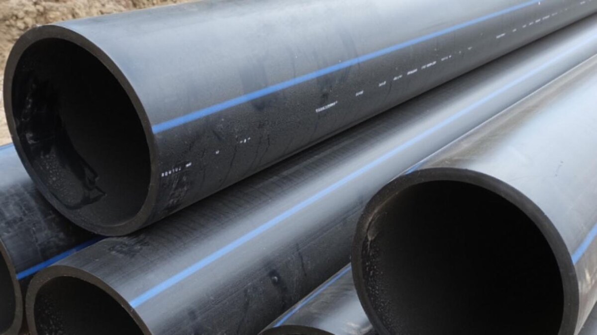 Фото: пресс-служба администрации Краснодара