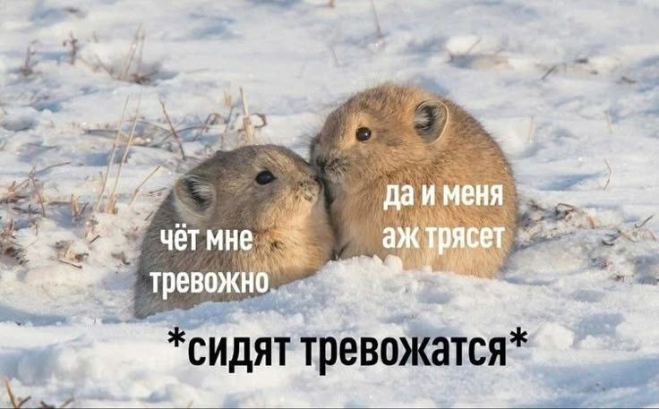 А что бы вы выбрали?