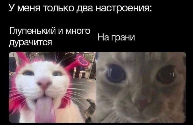 А какой ты сегодня? 