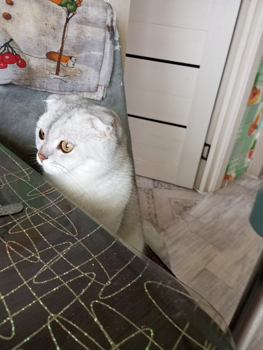 Что тут у тебя? 