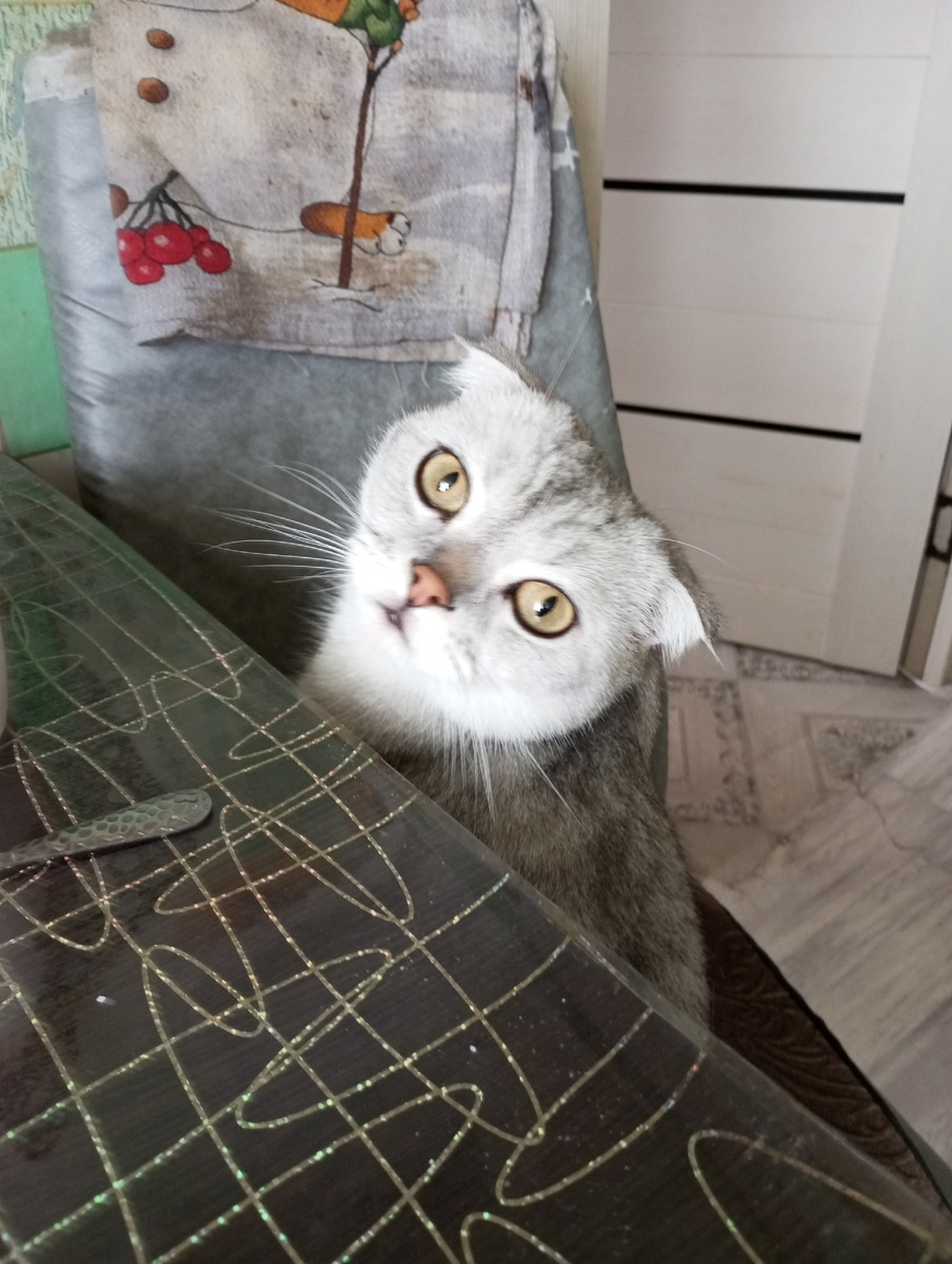 Кушать хочу