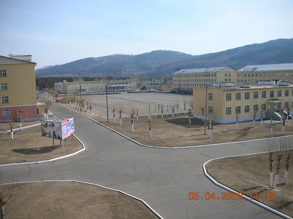 Песчанка родная) 