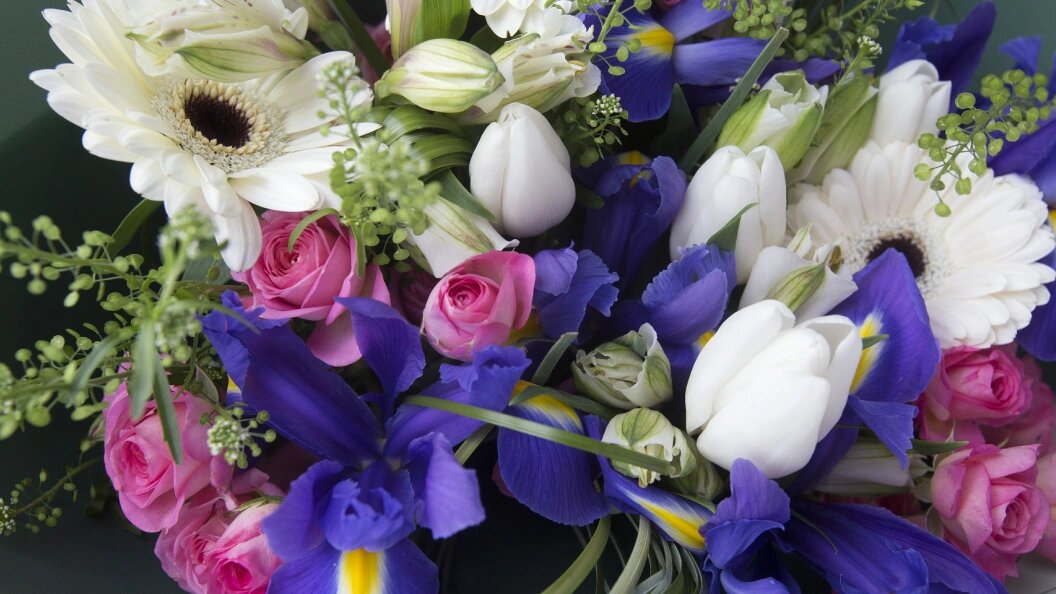    Николай Гынгазов/Global Look Press