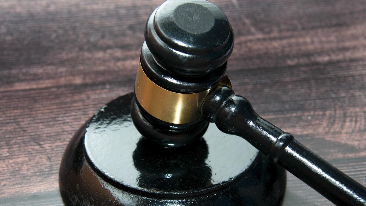    Фото: Svetlana Vozmilova/globallookpress.com