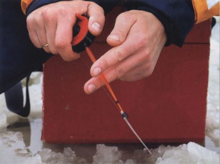 Фото с сайта: https://marsh-svobody.ru