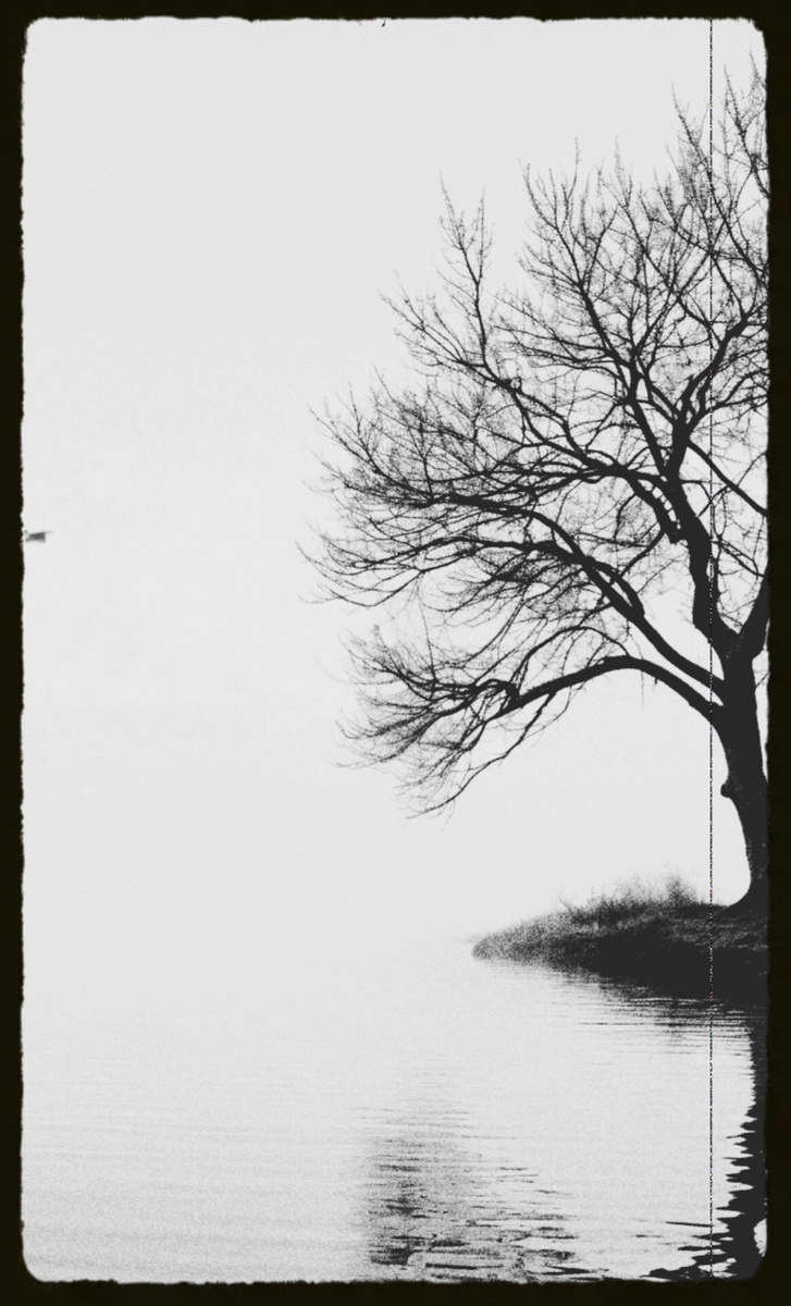 Вполне себе мартовский пейзаж