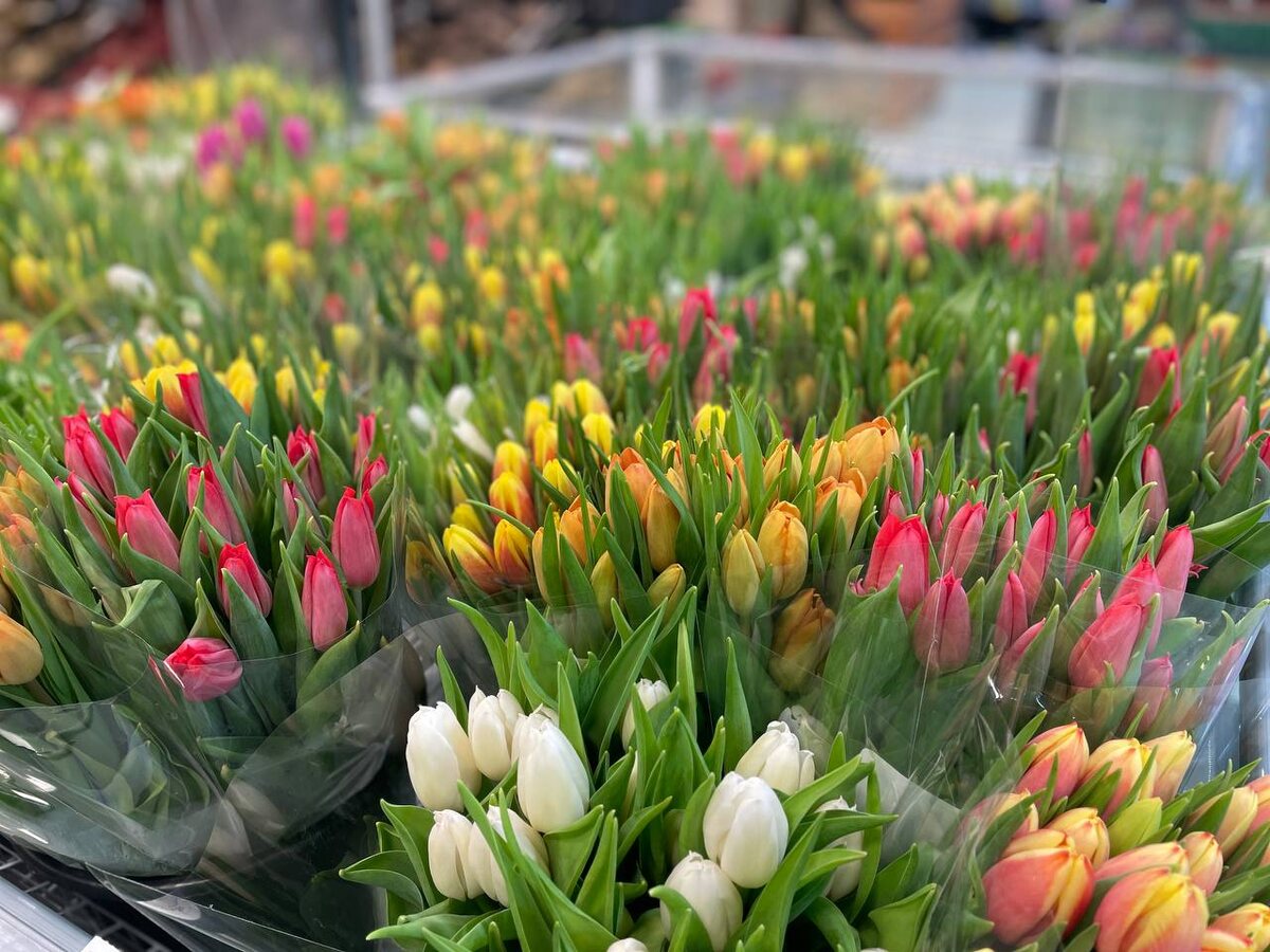 Фото: Утренний Юг