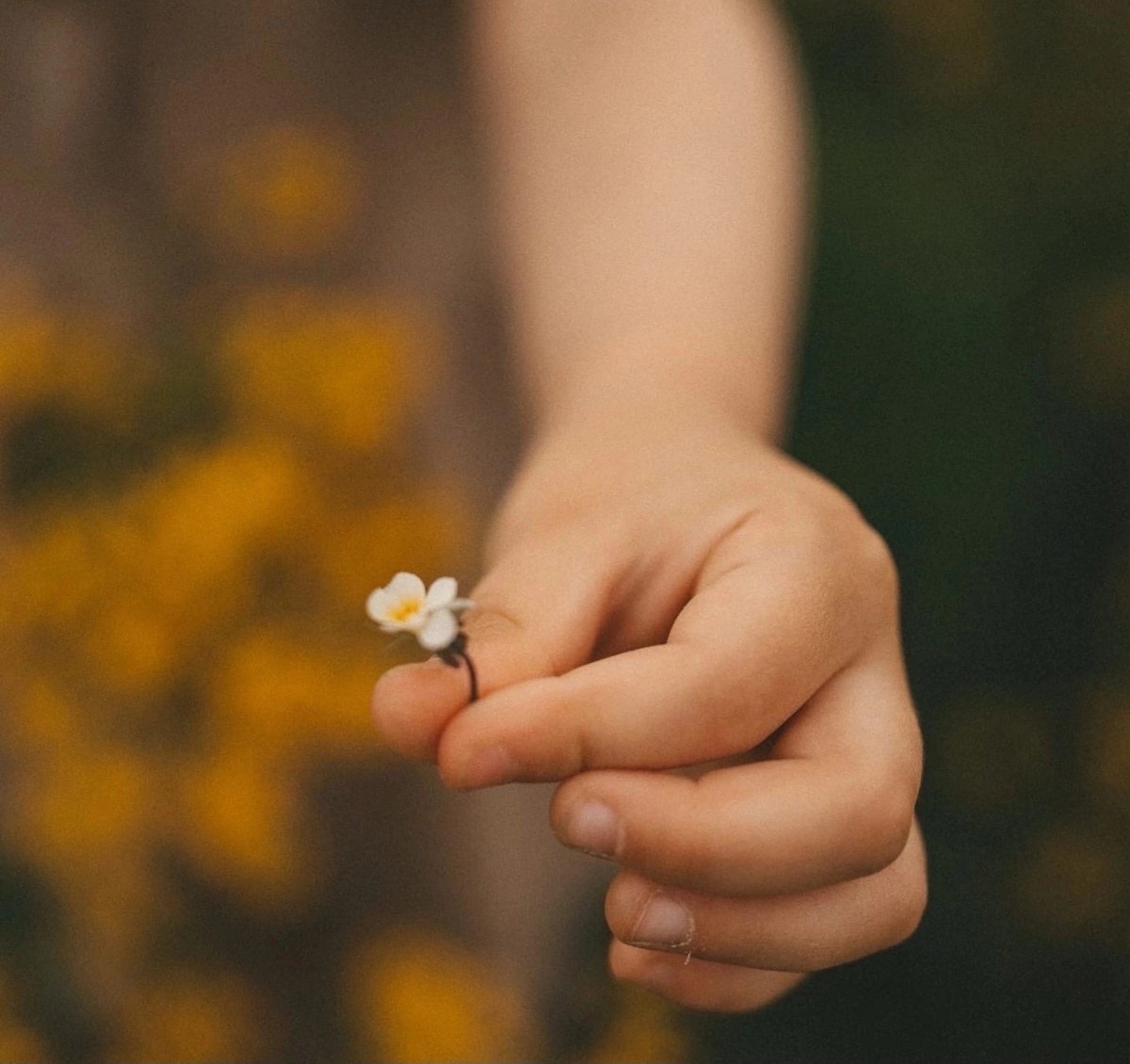 Красота в мелочах 