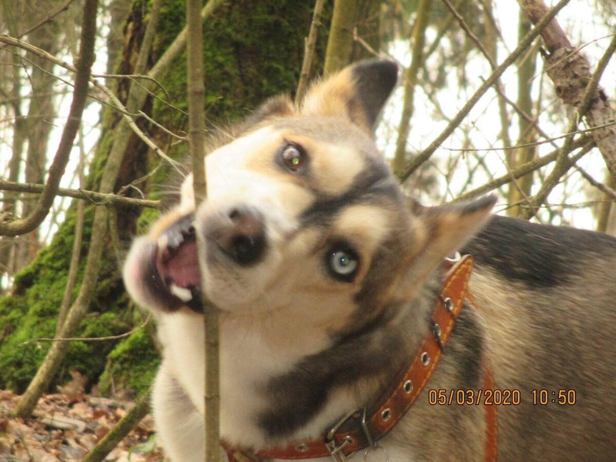 И ЕГО ЗАЩИТА- МОЯ ЗАДАЧА!