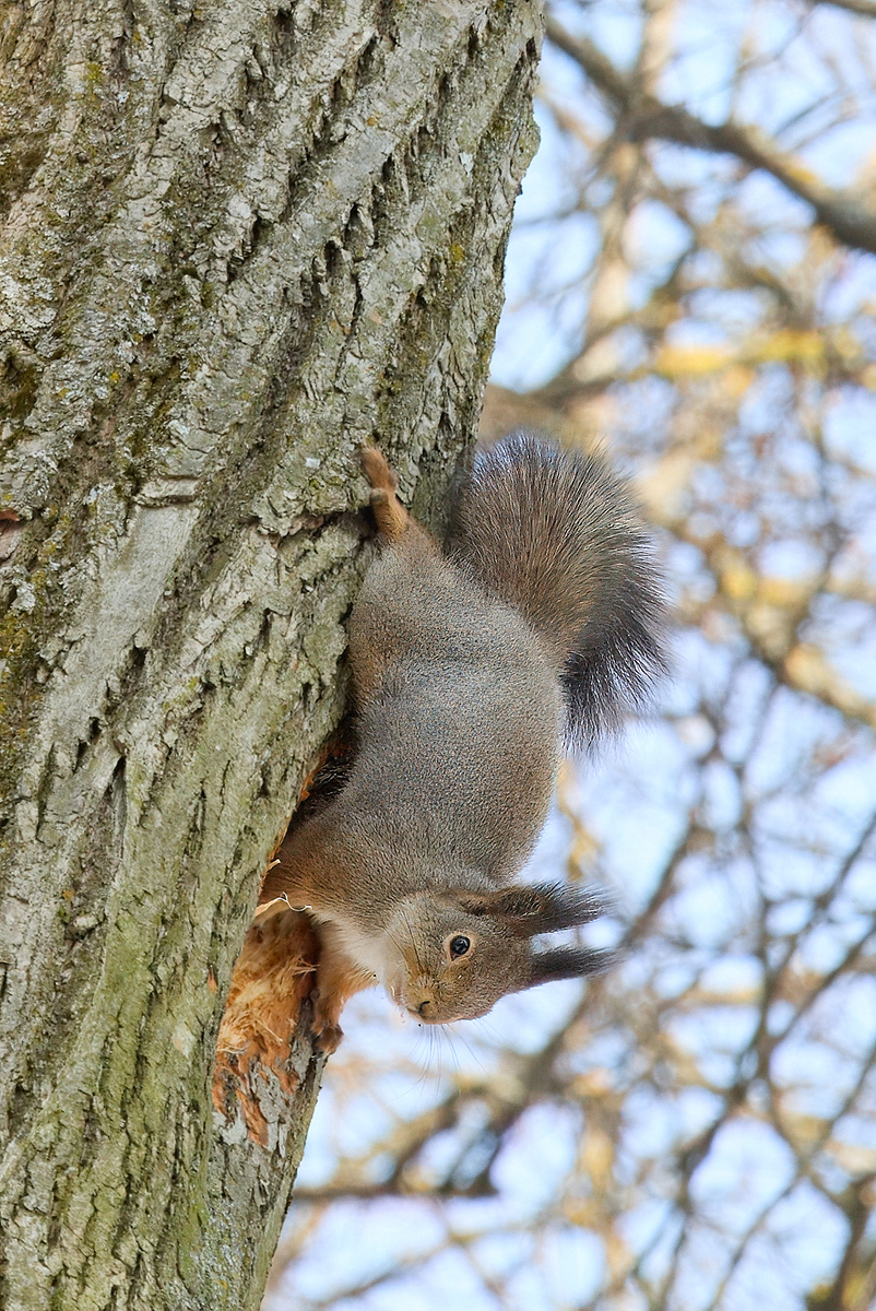 И чем это она занимается?
