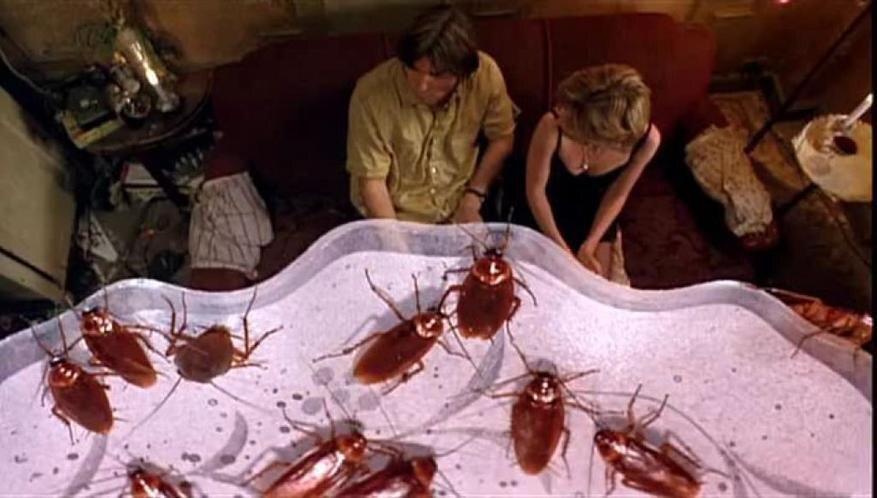 Эти божьи твари иногда теряют всякий стыд. Только и умеют что гадить везде. Тупые двуногие дылды. Автор: Питер Диминг (оператор)