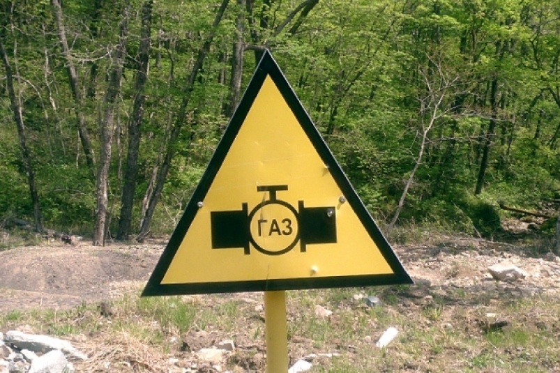    Фото: primamedia.ru Георгий