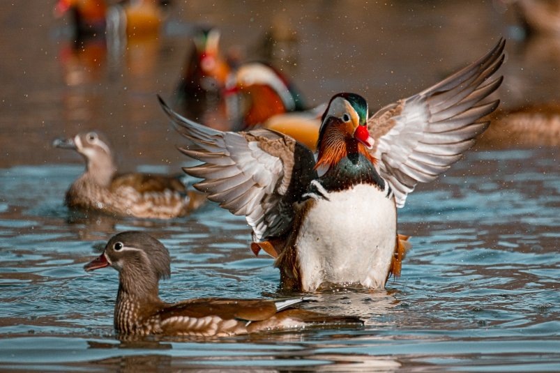    Фото: primamedia.ru Георгий