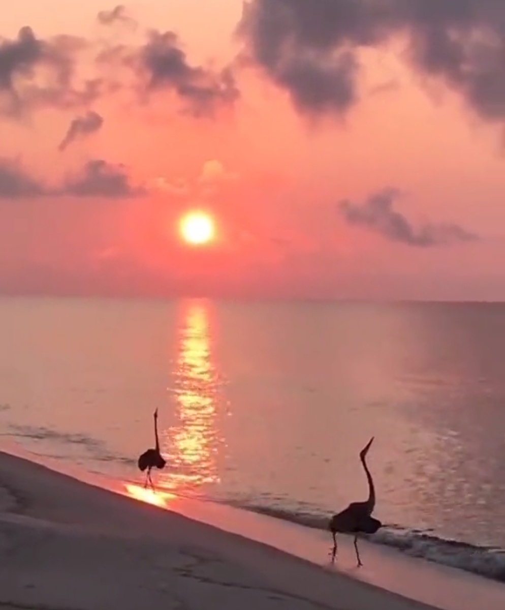 Фото от подруги