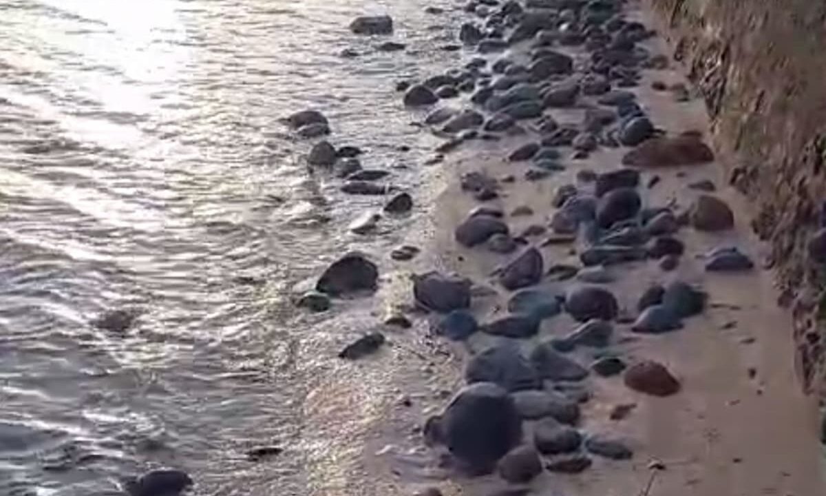    Фото t.me/gorodeisk